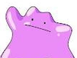 Battery Ditto
