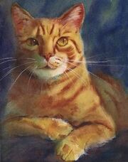 Tabby Cat