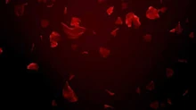 Petals