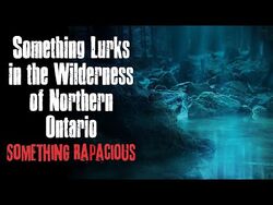 "Something Lurks in the Wilderness of Northern Ontario Something Rapacious" Creepypasta Scary Story-2