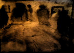 Shadows