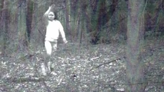 The Girl in the Picture