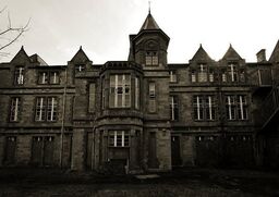 Asylum