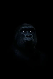 B2200b8bb0d4be6eeac58dc4f41c25d5--dark-wallpaper-wallpaper-ideas