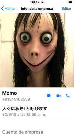 Momo Contactos