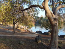 Woodward Park Nima1.jpeg