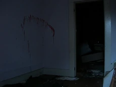 Shakkzcar Sheivirre.avi