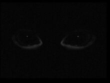 Dark-eyes-500x377