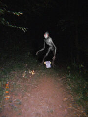 Ghost chicken1