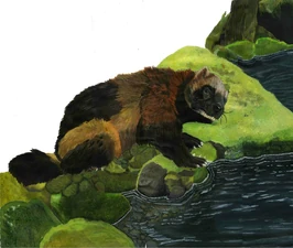 The Last Day of October--Prologue Pic11