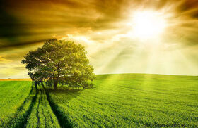 Sommer-landschaften