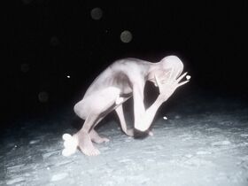 Scp096