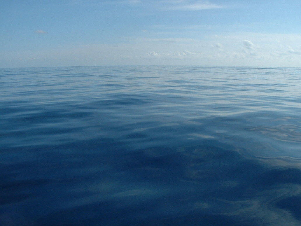 Calm Water strwberrystk.jpg