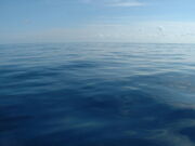 Calm Water strwberrystk.jpg