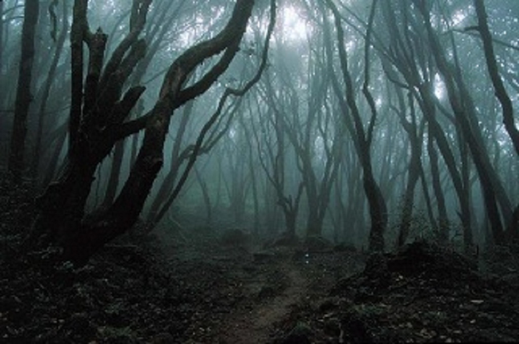 El bosque embrujado | Wiki Creepypasta | Fandom