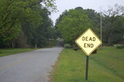 Dead end by saria the kokiri.jpg