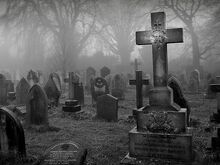 C987719A-0FCA-4F4A-A008-92BCED2056D8.jpeg