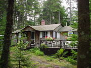 House-In-The-Woods-2.jpg