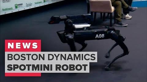 Boston_Dynamics_demonstrates_its_SpotMini_robot_dog_(CNET_News)