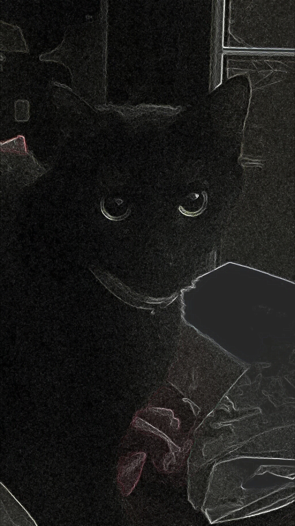 The Black Kitten, Creepypasta Wiki