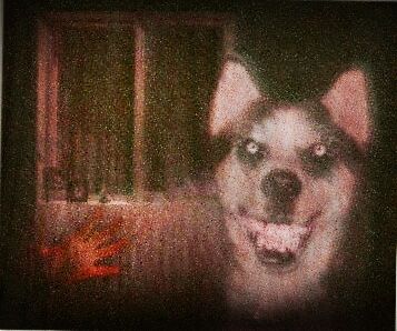 Smile-dog.jpg