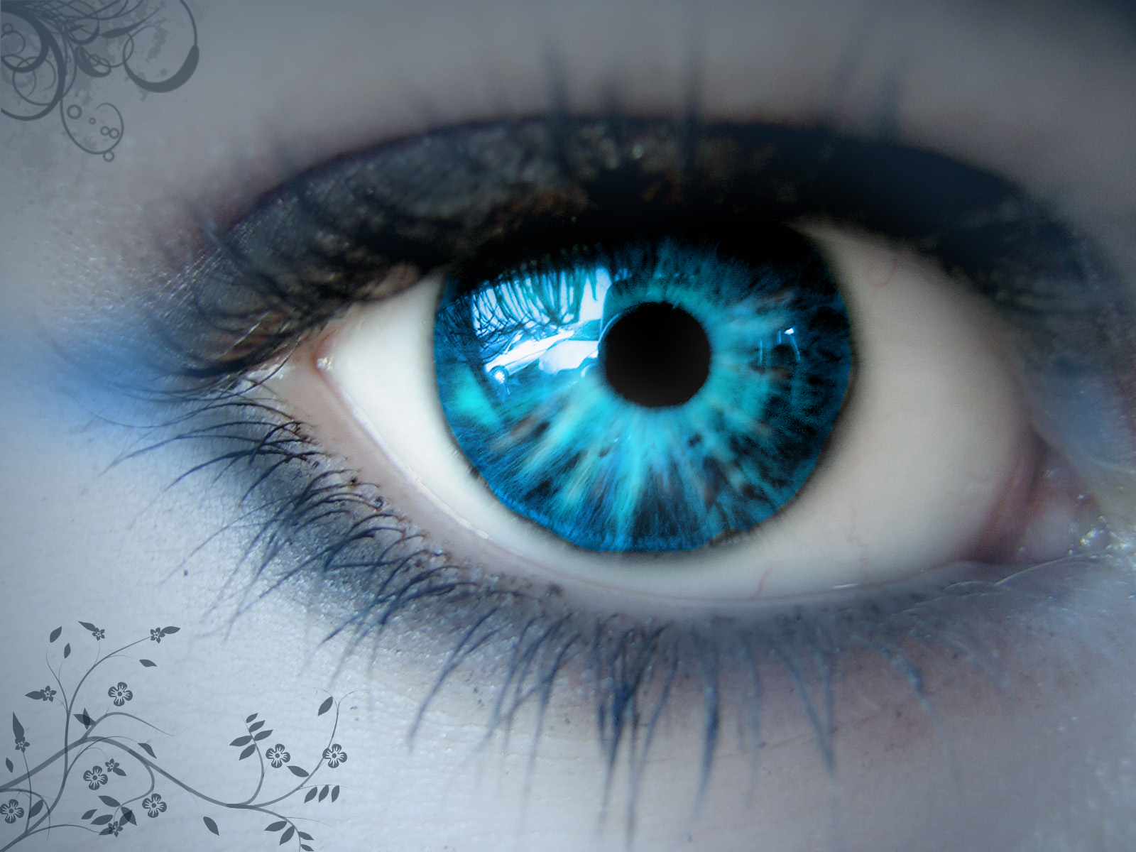 The Blue Eye, Creepypasta Wiki