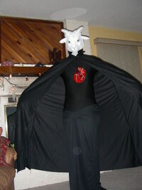 DSCN5747.jpg