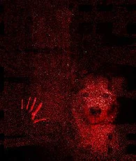 Smile Dog (alt. image 2)