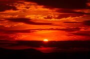 Red Dawn.jpg