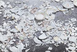 Shmashed plates