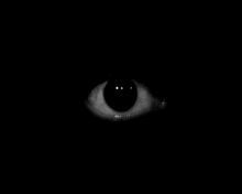 Giphy-0.gif