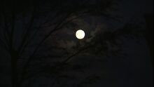 640958215-full-moon-kauai-eerie-night.jpg
