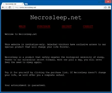 Necrosleep