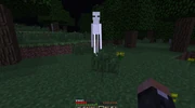 el enderman blanco
se aparece mas en mapas o lugares con bosque ,muy facil de ver de cierta distancia en tiempo noche