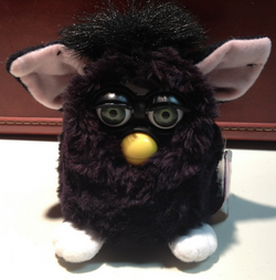 Black furby