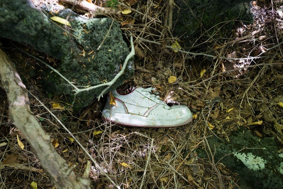 Suicide-forest.jpg