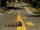 Roadkill Alley