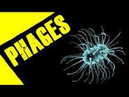 Phages - Creepypasta-2