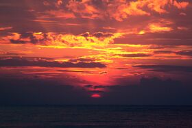 Blood artist sunset.jpeg