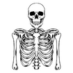 Skeleton Ref
