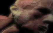 He Without a Face.jpg