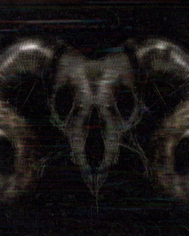 Taboo Creepypasta Wiki Fandom Swinger 640x800 Nude Pic Hq Taboo Creepypasta Wiki Fandom photo picture