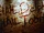 Hyraaq Tobit: The Complete Collection