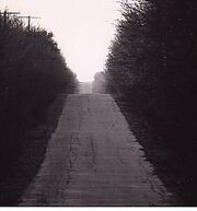 Lstr road