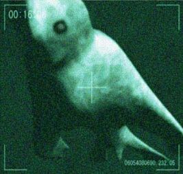 Ningen.jpg