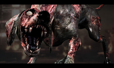 Zombie Dog C.jpg