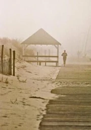 218px-Disappearance-steve-karol