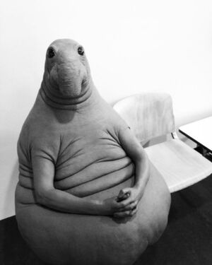 17-blob-arms.w330.h412