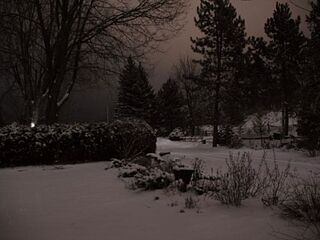 Neve-notte.jpg