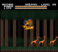 Forest2.png